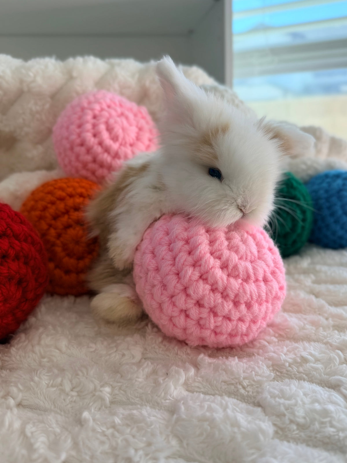 Teddywidder Bunny #2